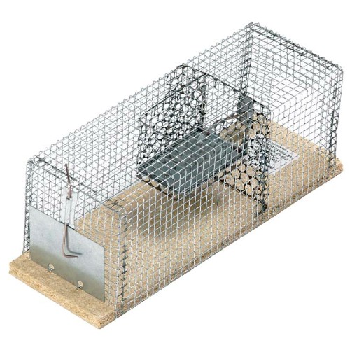 Burfälla NYBY för möss och råttor