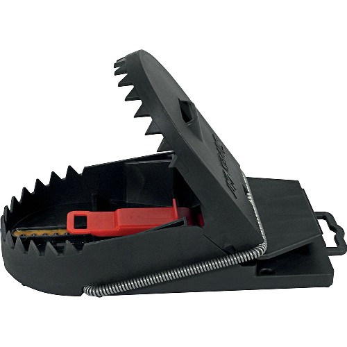 Råttfälla SWISS INNO Supercat Pro