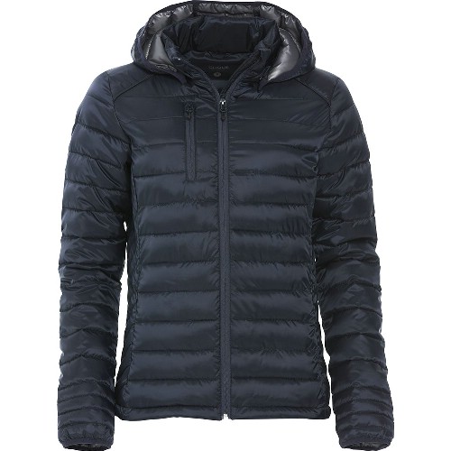 Jacka CLIQUE Hudson Dam